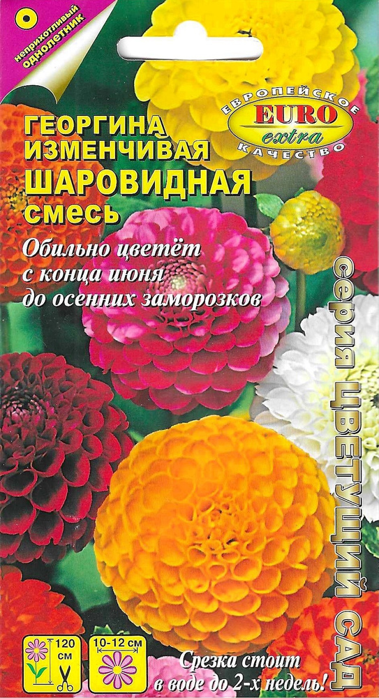 Георгина изменчивая шаровидная, смесь семян #1