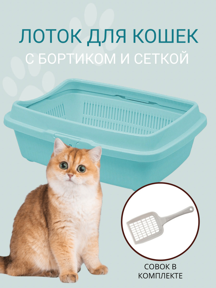 Туалет для кошек с сеткой и бортом DD Style, кошачий туалет, лоток для  кошек с совком, ментоловый - купить с доставкой по выгодным ценам в  интернет-магазине OZON (247715438)