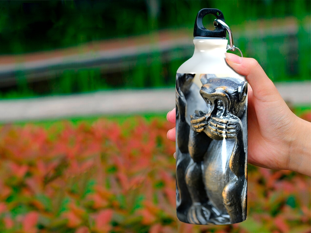 Бутылка фляга для воды "Три обезьяны, три мудрых обезьяны, древняя ...