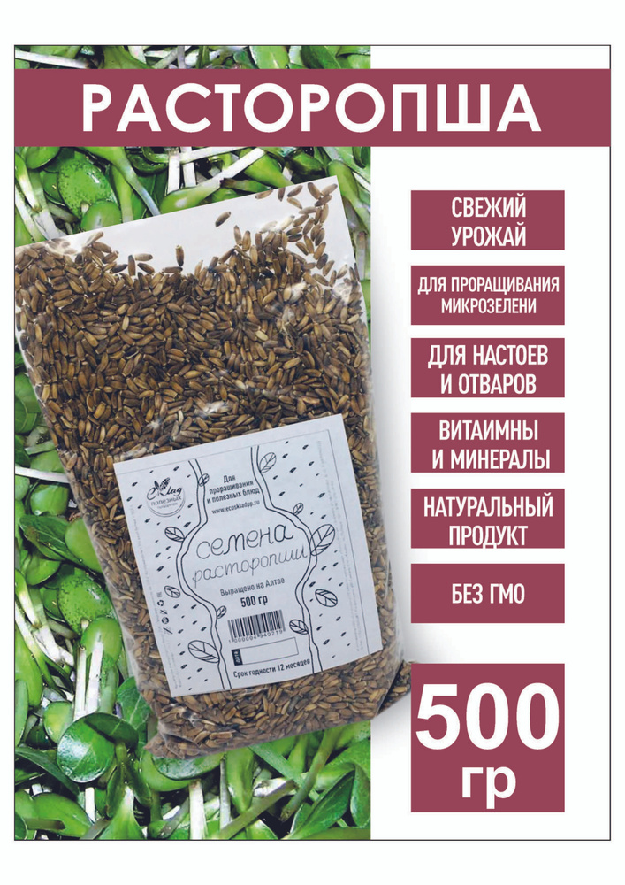 Семена расторопши, 500 гр. расторопша для проращивания - купить с ...