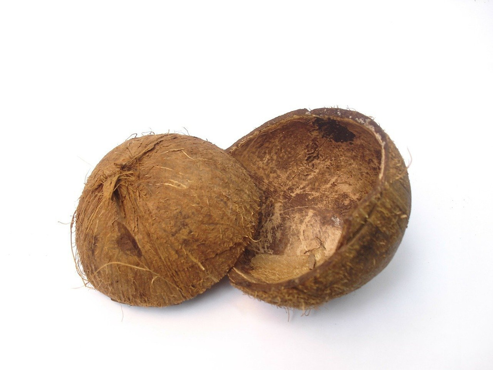 Скорлупа кокосового ореха. В комплекте: 3 половинки. #1