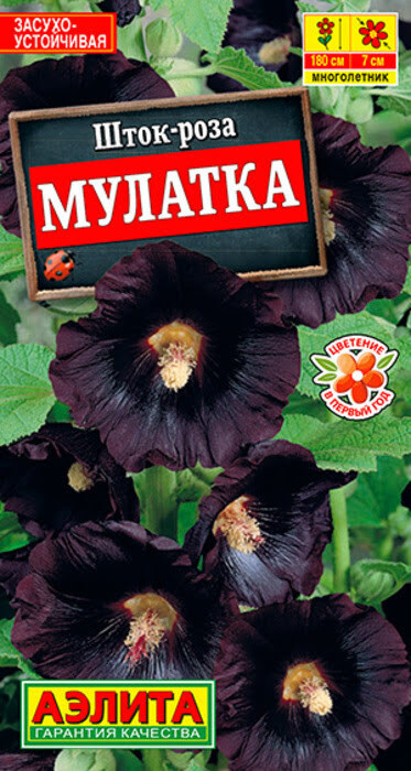 Семена Шток-роза Мулатка (10 семян) - Аэлита #1