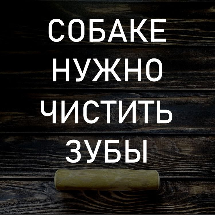 Игрушка для собак - палочка кофейного дерева "Ёжки-Палки" / Жевательное лакомство для чистки и здоровья #1