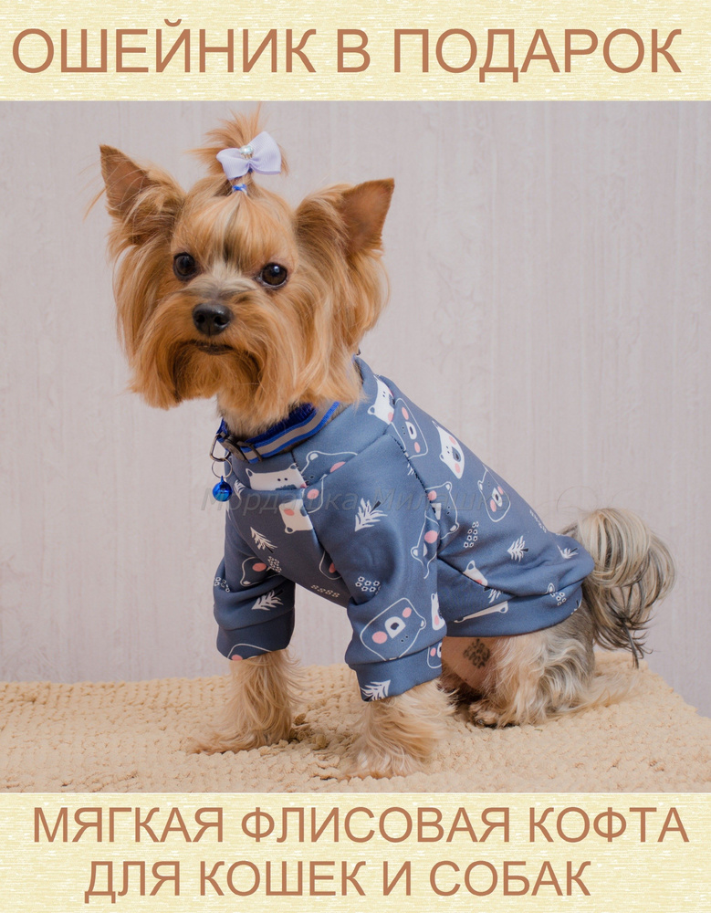 Мягкая одежда для собак мелких пород. Одежда для кошек. Флисовая кофта для  животных - купить с доставкой по выгодным ценам в интернет-магазине OZON  (712396313)