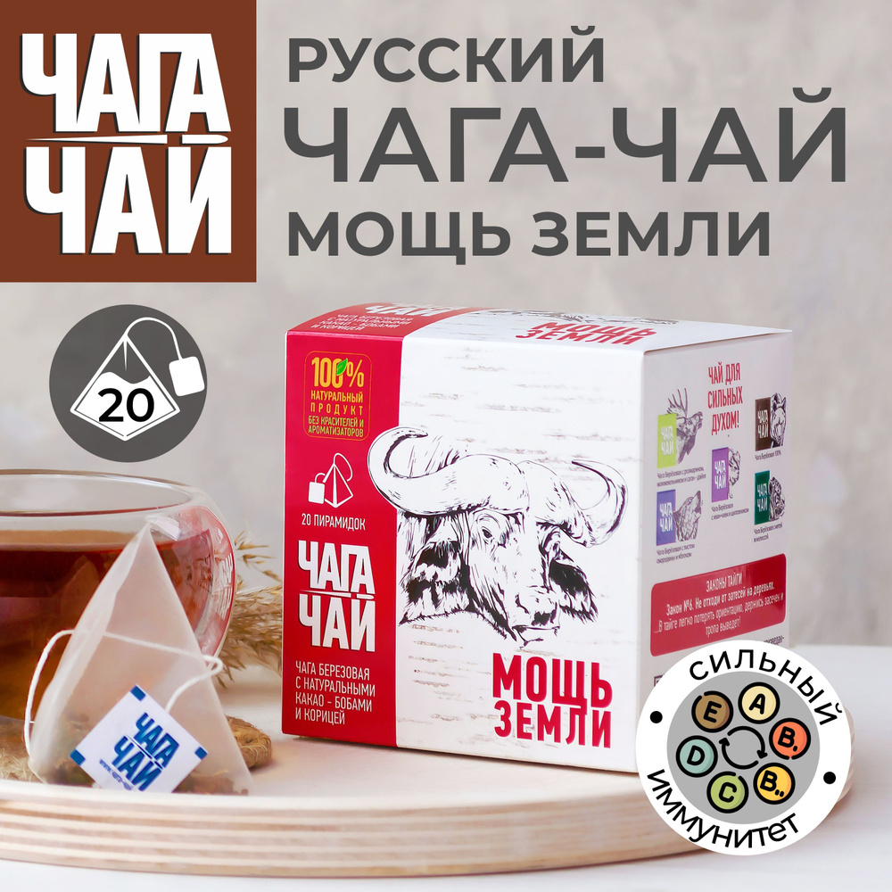Травяной напиток Русский Чага чай МОЩЬ ЗЕМЛИ с какао и корицей без кофеина и добавок, чай подарочный #1