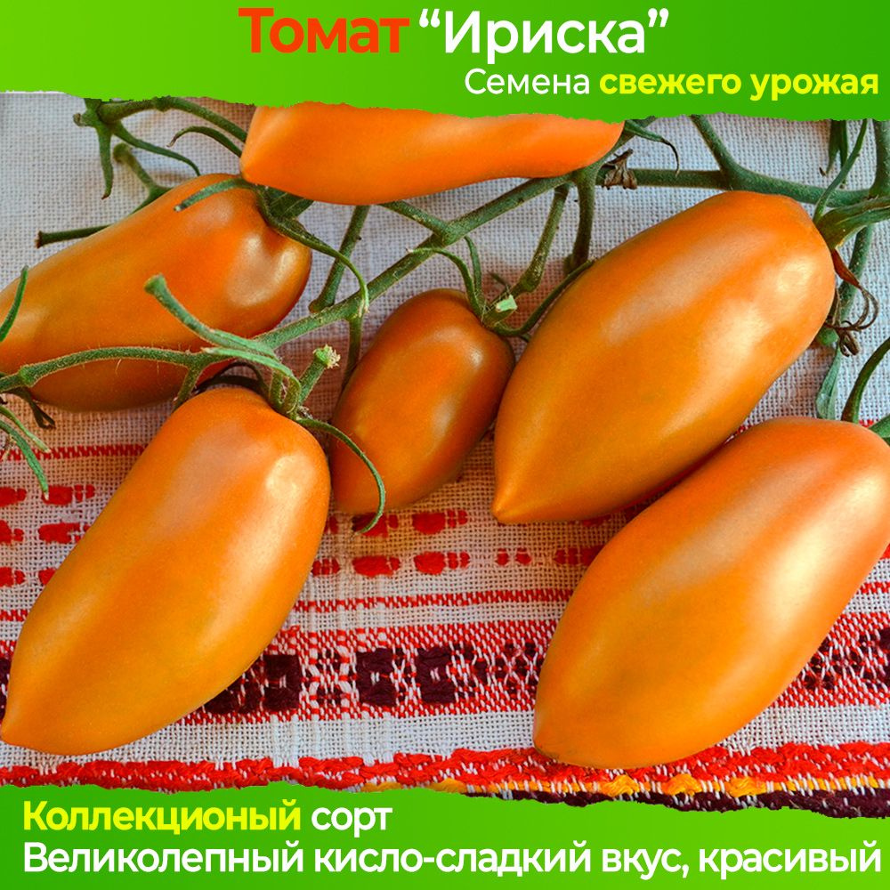 Семена томата Ириска - коллекционный сорт #1