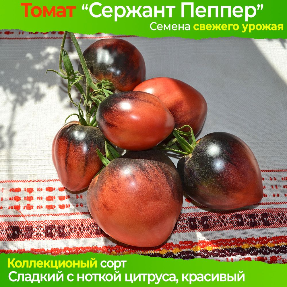 Семена томата Сержант Пеппер - коллекционный сорт #1