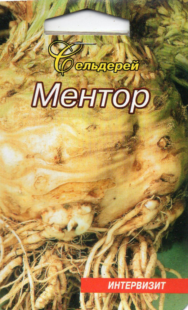 Сельдерей Ментор ,семена #1