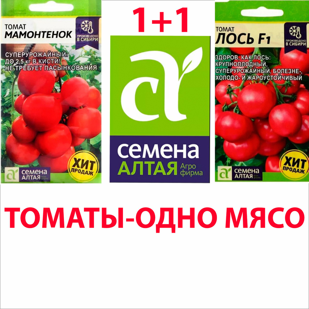 Томат мамонтенок отзывы фото