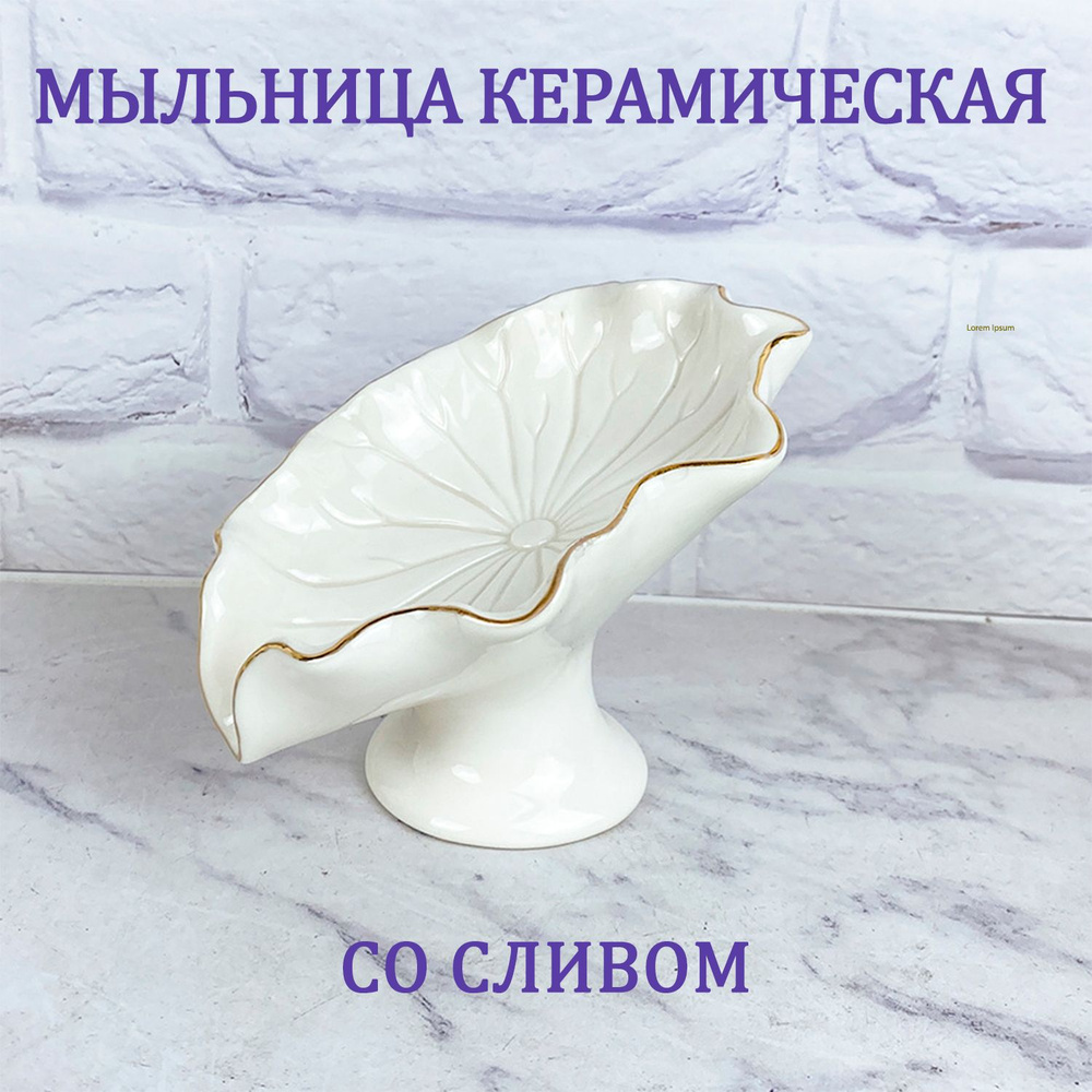 Мыльница купить на OZON по низкой цене (1700209417)