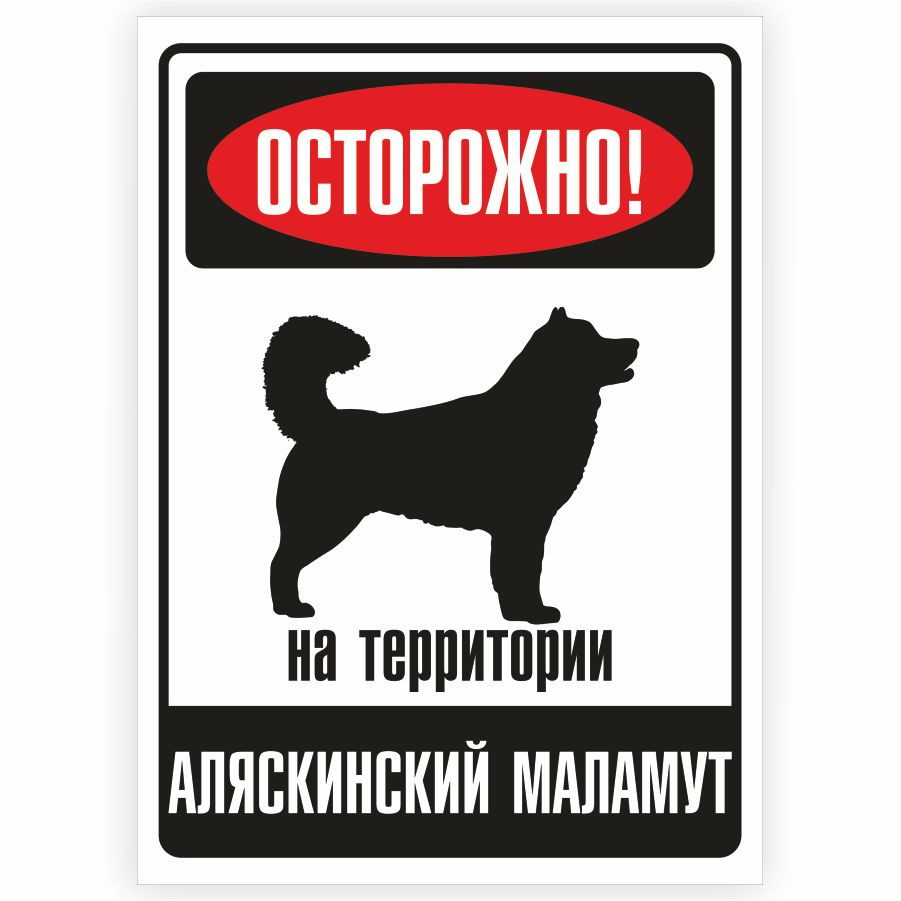 Табличка, металлическая, DANGER DOG, Осторожно! На территории Аляскинский маламут, 18x25 см  #1