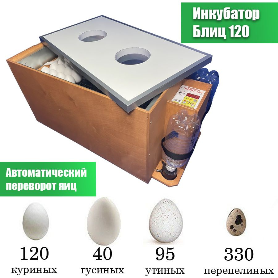 Инкубаторы на 96, 98, , яйца в Москве, купить по выгодной цене в «ТД ТНП»