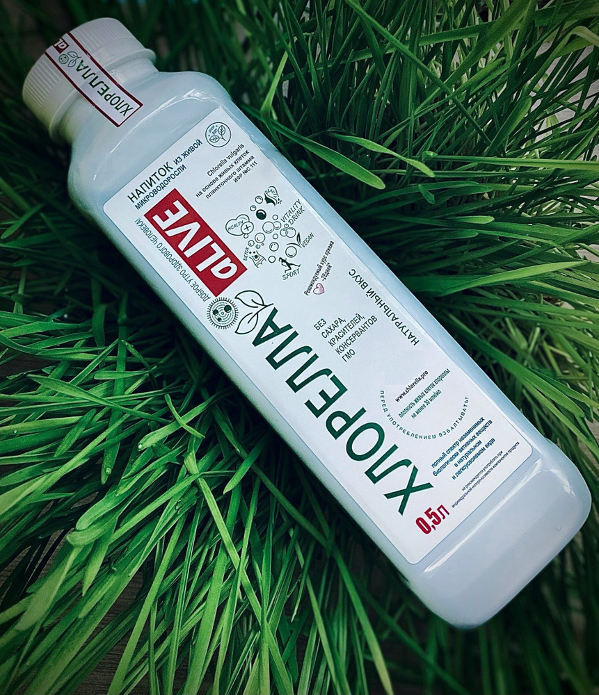 Живая хлорелла (chlorella), микроводоросль, органический напиток для ...
