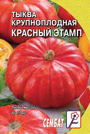 Тыква Красный этамп 2г Семена Стандарт #1
