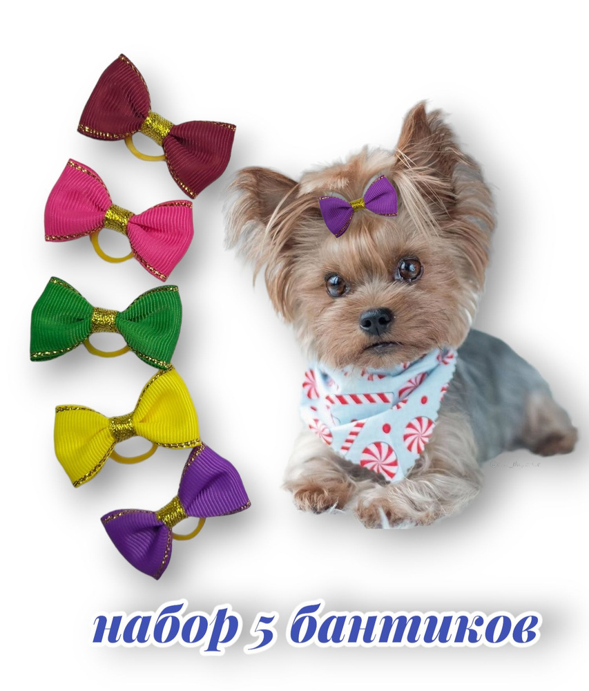 Бантики для собак #1