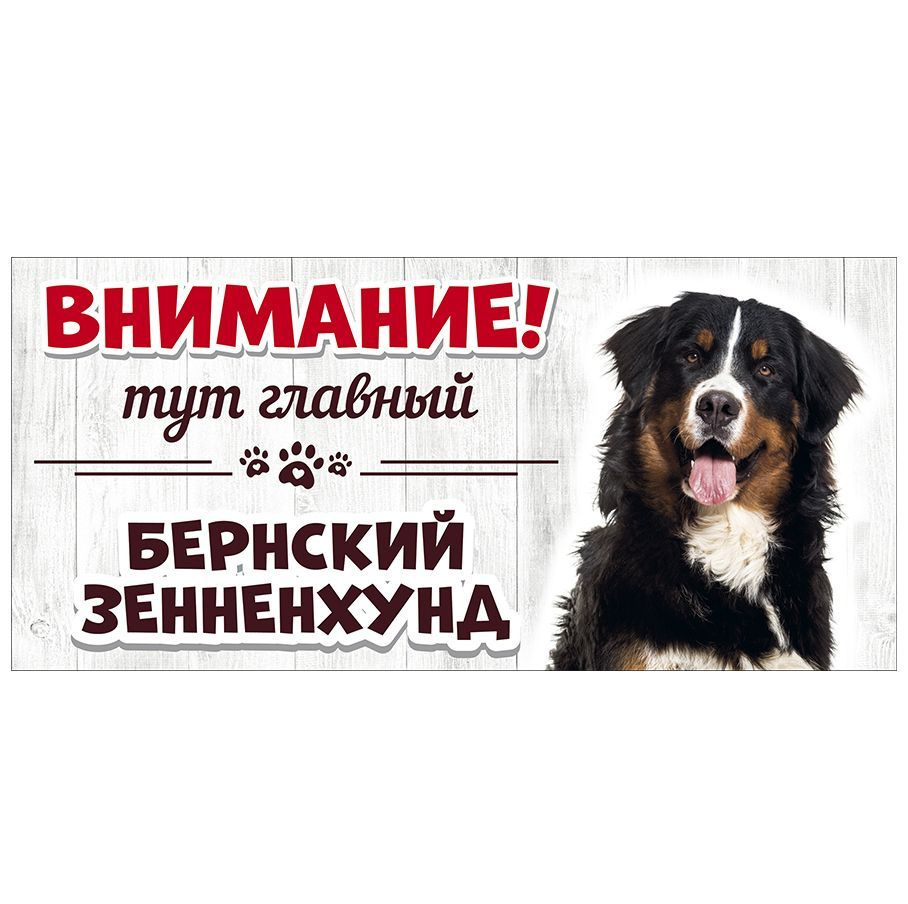 Табличка, Злая собака, Тут главный Бернский зенненхунд, на ...