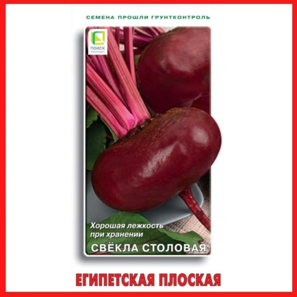 Семена Свекла столовая "Египетская плоская", 3 гр, для дома, дачи и огорода, в открытый грунт, овощи #1