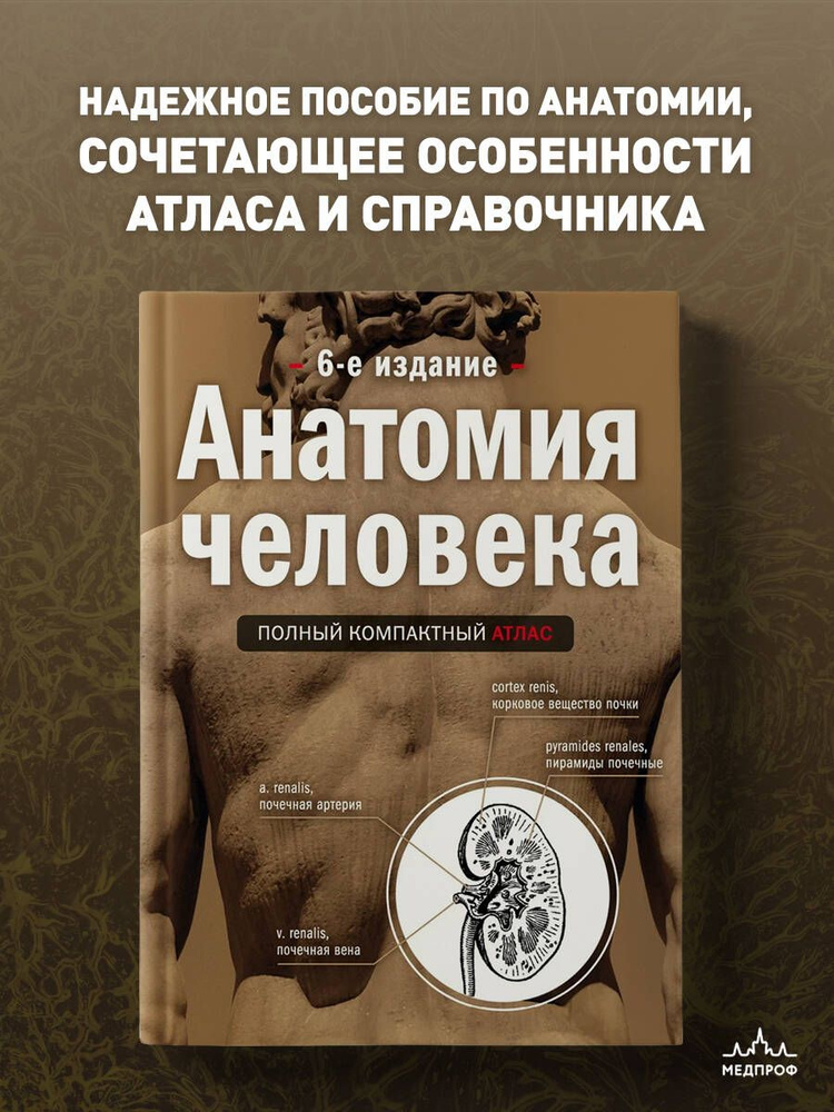 Анатомия человека: полный компактный атлас. 6-е издание | Боянович Юрий Владимирович  #1