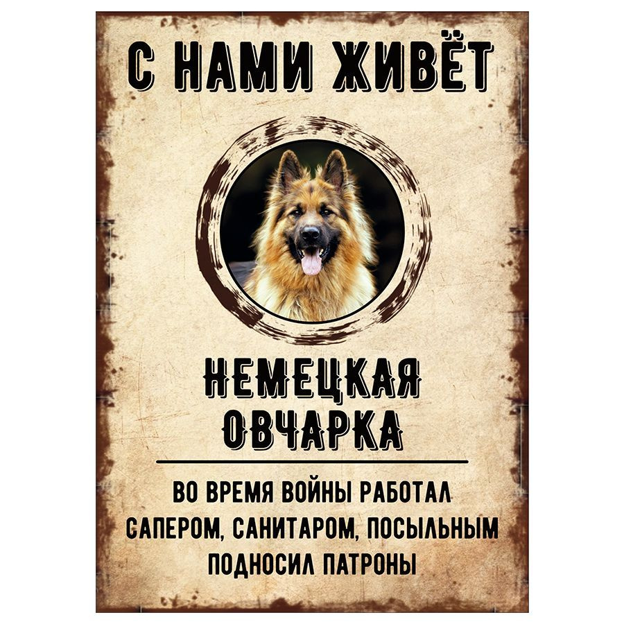 Табличка, декоративная, DANGER DOG, С нами живет Немецкая овчарка, 18см х  25см, 25 см, 18 см - купить в интернет-магазине OZON по выгодной цене  (851299254)