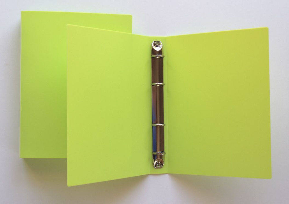 Папка А5 на 4-х кольцах салатовая - купить с доставкой по выгодным ...