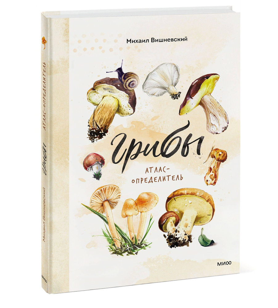 Грибы. Атлас-определитель | Вишневский Михаил Владимирович - купить с  доставкой по выгодным ценам в интернет-магазине OZON (267303287)