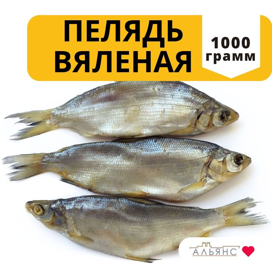 Вяленая рыба Пелядь / Снеки Альянс 1 кг купить на OZON по низкой цене ...