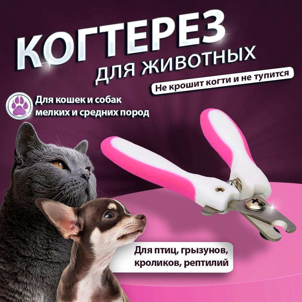 Когтерез. Ножницы для стрижки когтей животных. Для кошек и собак мелких ...