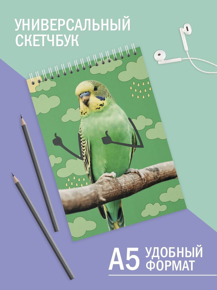 Скетчбук #1