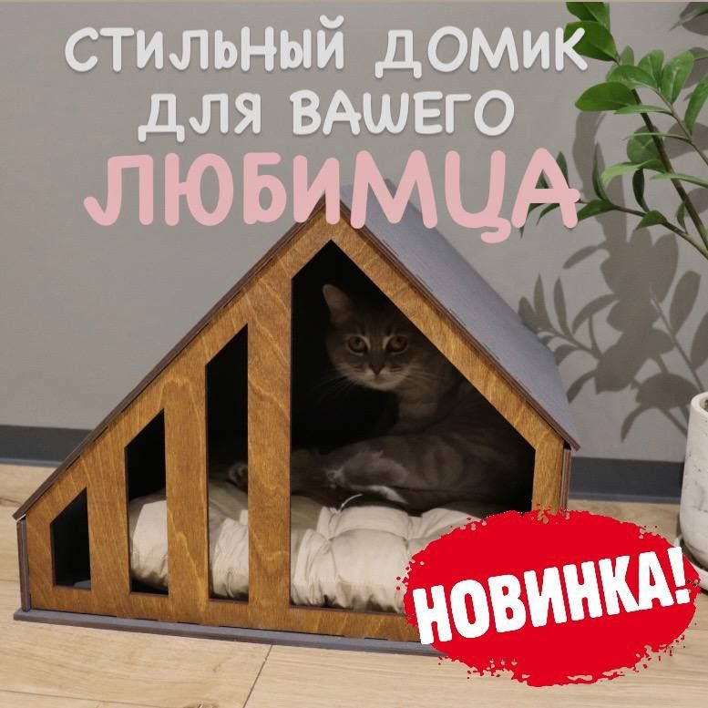 Зимний домик для кошки на улице | Кошка на окошке