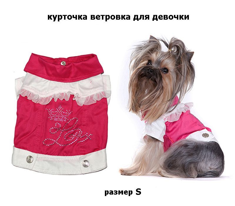 Куртка джинсовая для собак и кошек Dog luck купить в интернет-магазине Wildberries