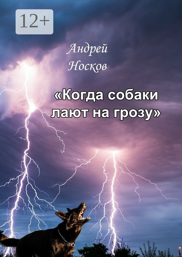 Когда собаки лают на грозу. Тонкие детали должны быть замечены | Носков Андрей #1