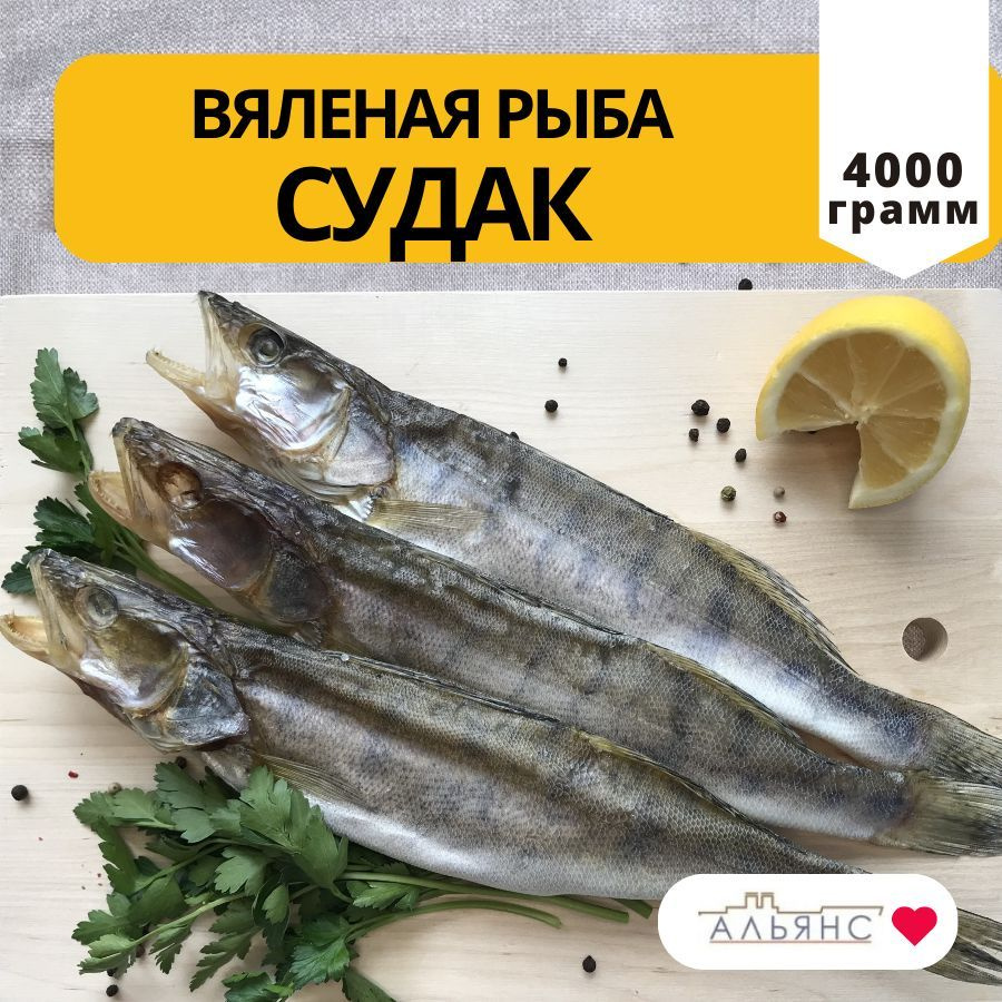 Вяленая рыба Судак / Снеки Альянс / 4 кг - купить с доставкой по выгодным  ценам в интернет-магазине OZON (406043692)