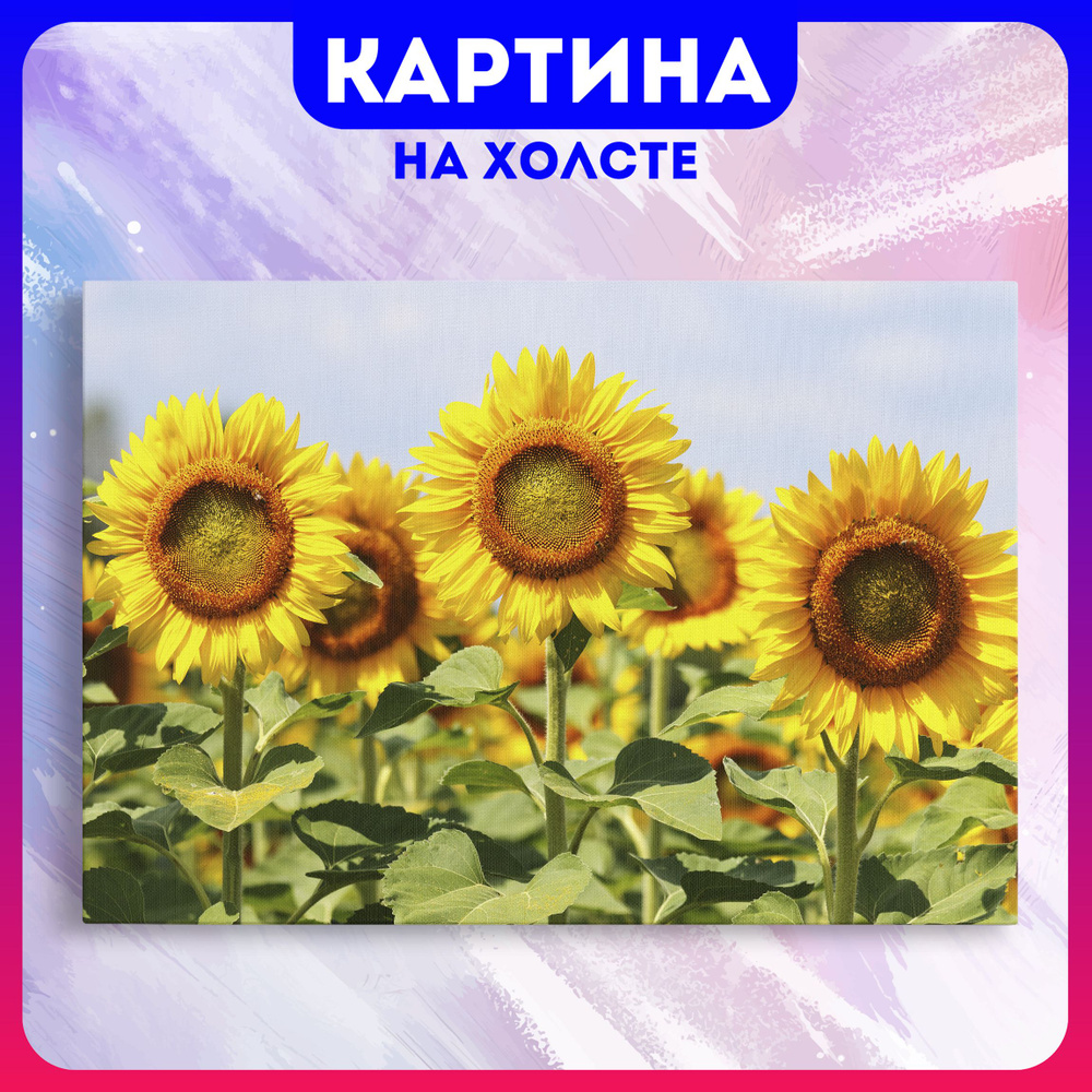 BloomHym Картина 