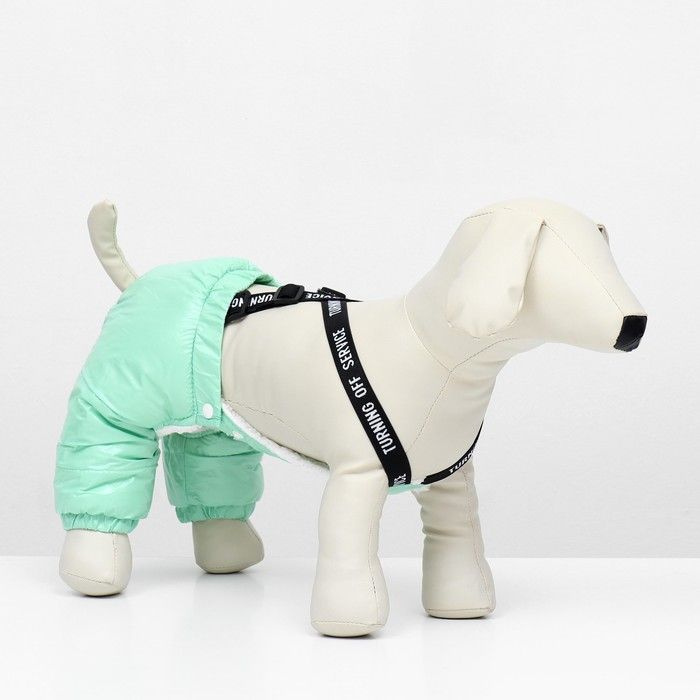 Комбинезон-штаны для собак, размер XS (ДС 26, ОТ 28 см), мятный - купить сдоставкой по выгодным ценам в интернет-магазине OZON (1288287100)