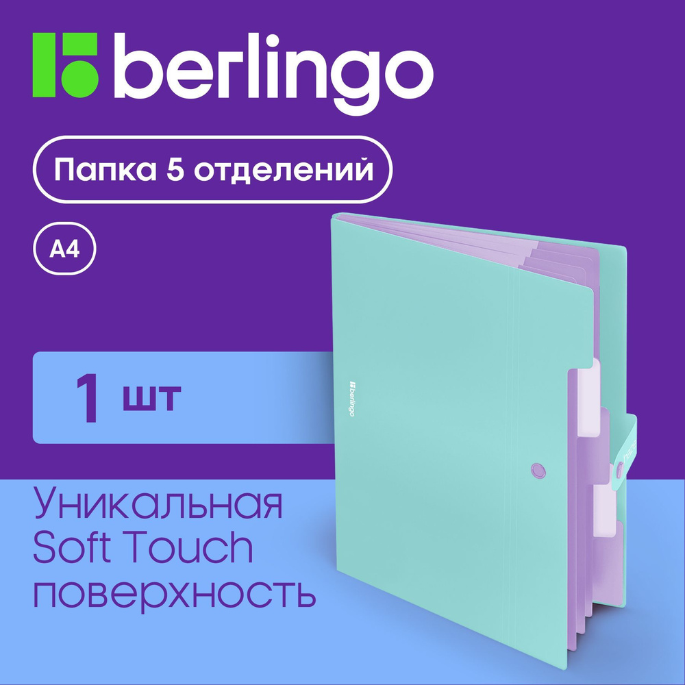 Папка органайзер для документов Berlingo Haze, 5 отделений, семейная, А4, на кнопке, мятная  #1