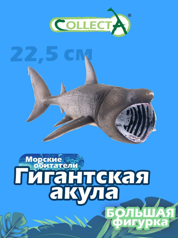 Гигантская акула - безопасная рыба-чудовище