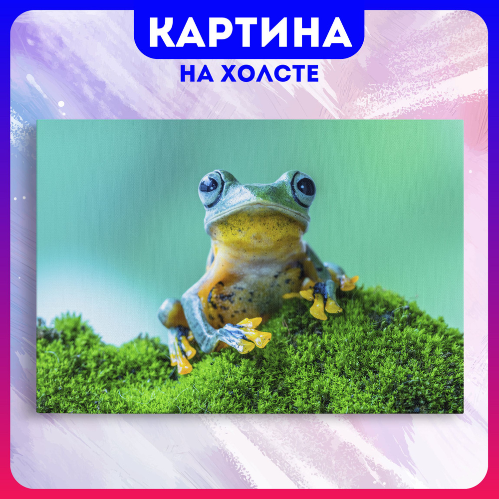 Картина на холсте лягушки животные природа (6) 20х30 см - купить по низкой  цене в интернет-магазине OZON (1180991141)