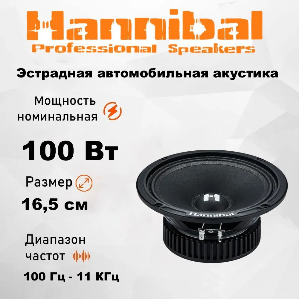 Акустика эстрадная Alphard Hannibal HM-6S / Колонки автомобильные 16,5 см