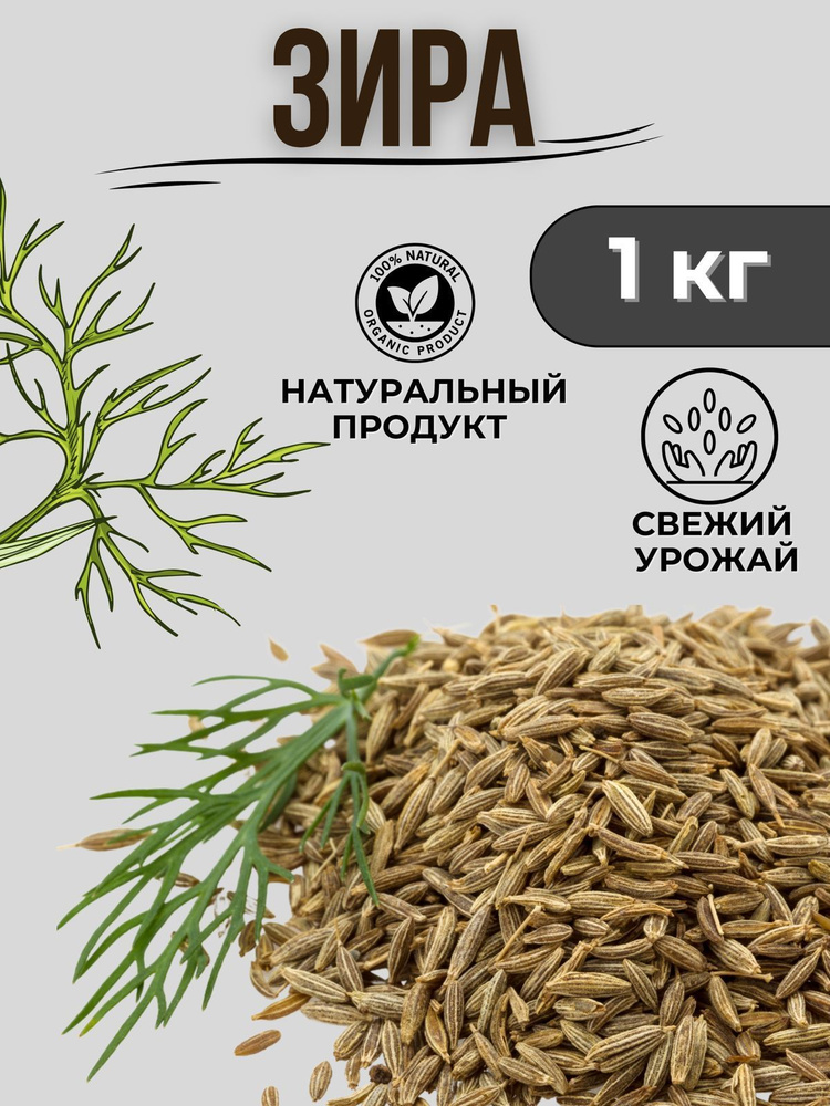 Зира натуральная 1кг - купить с доставкой по выгодным ценам в интернет ...