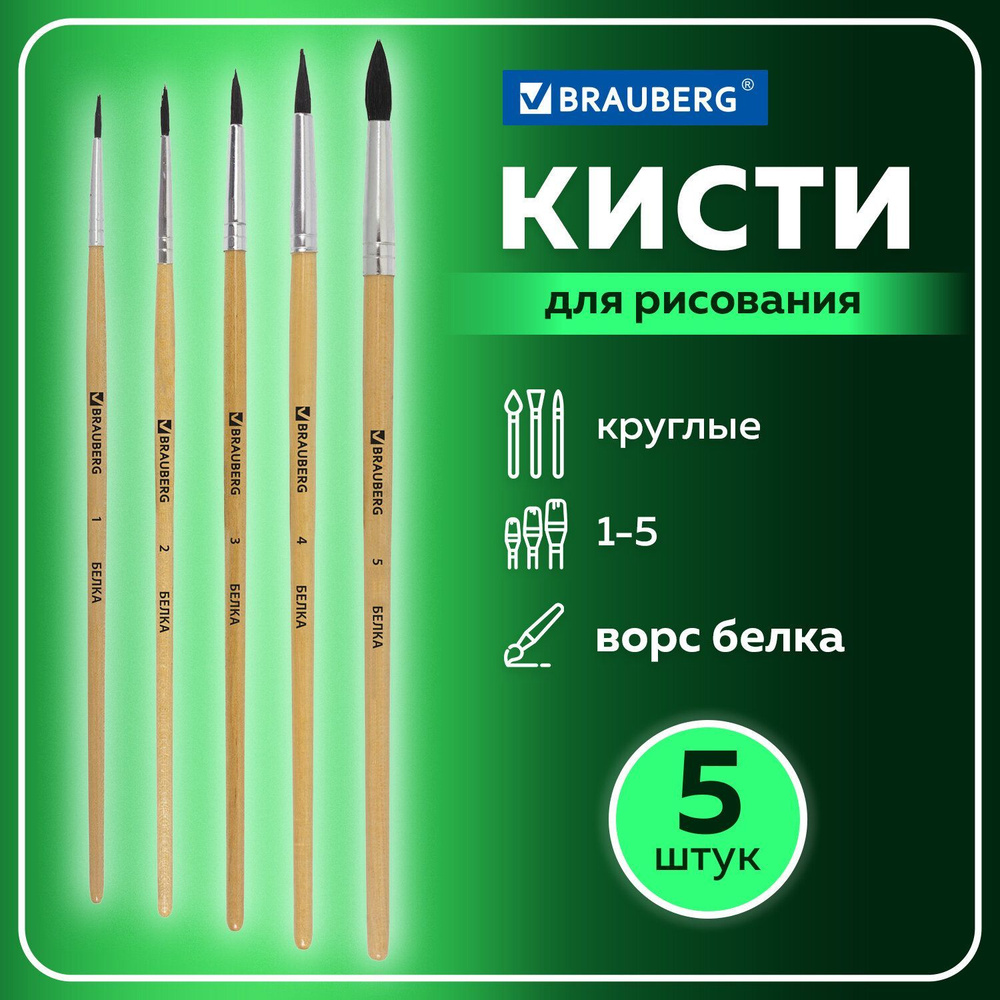 Кисти/кисточки для рисования Brauberg, набор из 5 шт., (белка, круглые №  1,2,3,4,5)