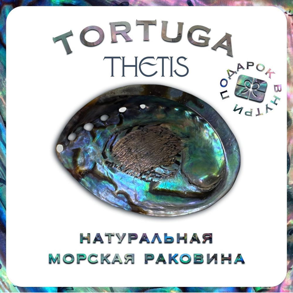 Подставка под благовония TORTUGA подставка - купить по низкой цене в  интернет-магазине OZON (1217949935)