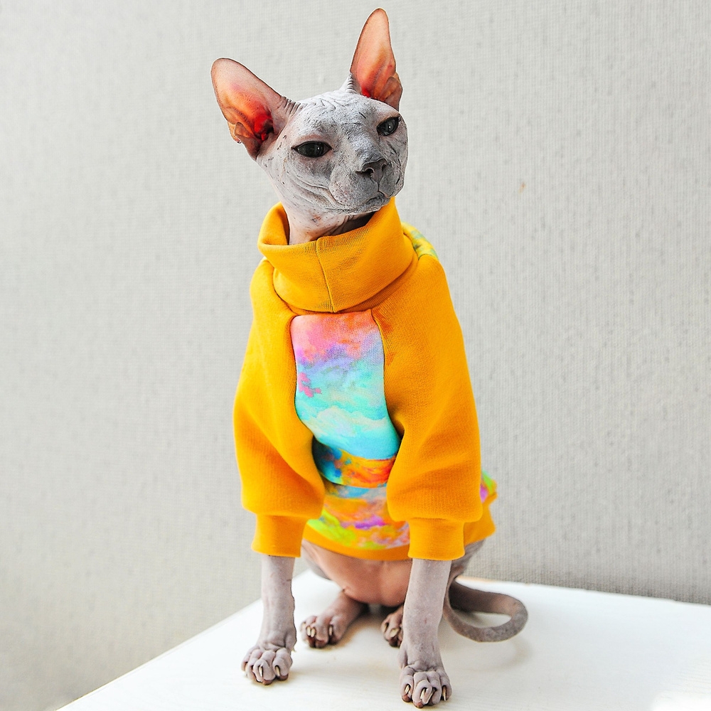 Одежда для кота Басика