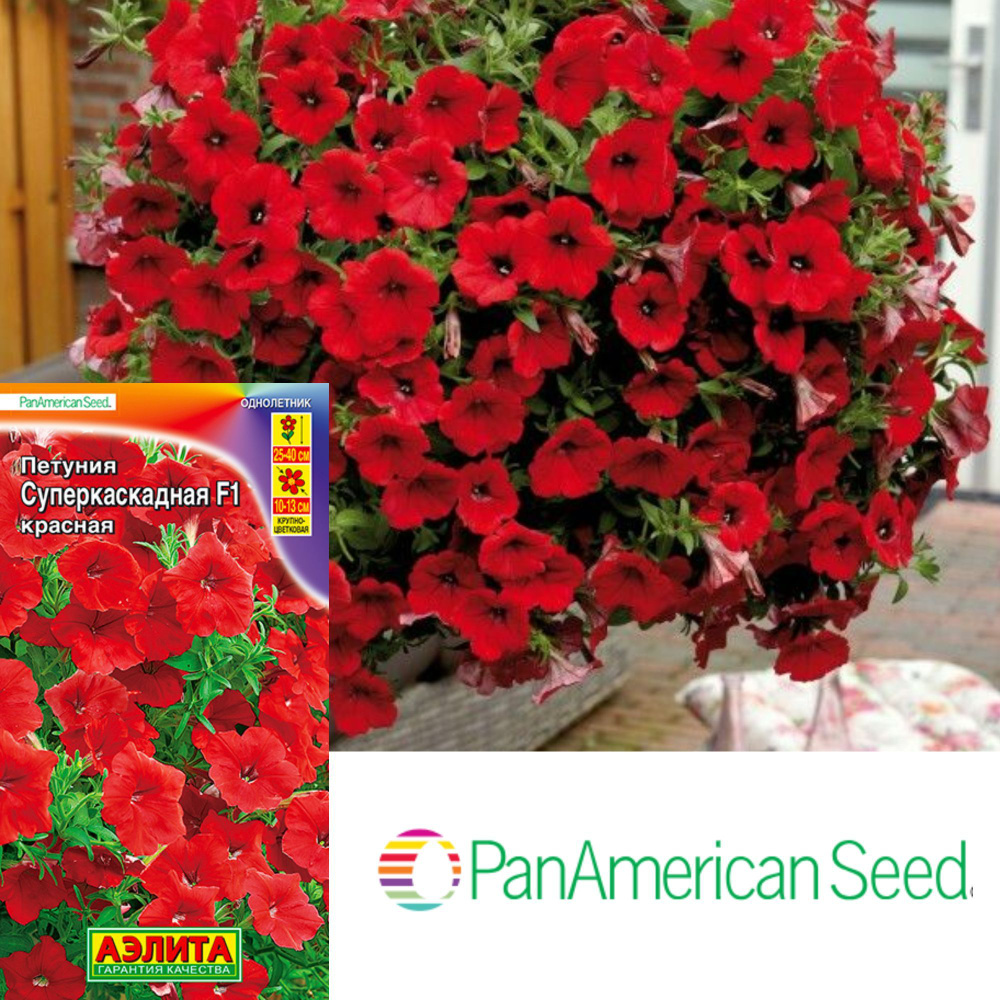 Петуния ампельная Суперкаскадная красная селекции PanAmerican Seed