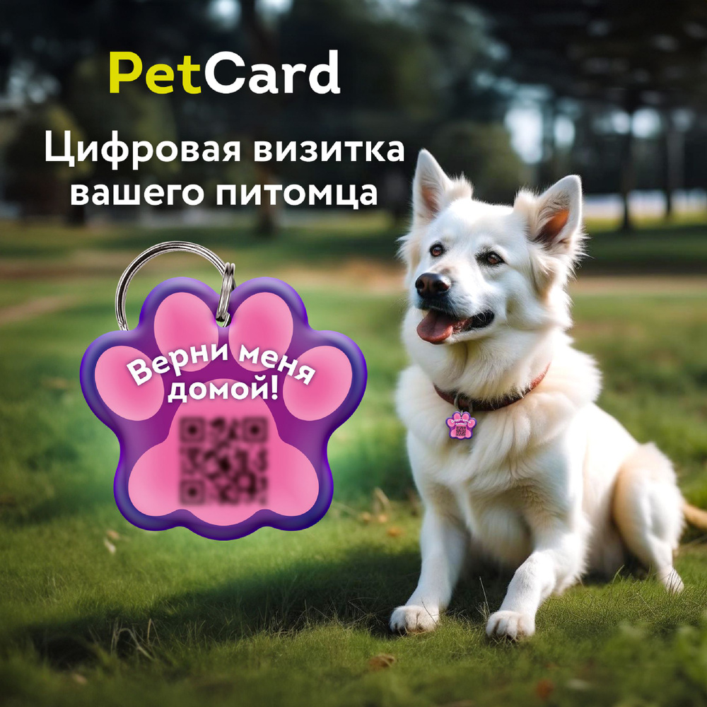 Адресник для собак и кошек с QR кодом и NFC/ цифровая визитка PetCard ...