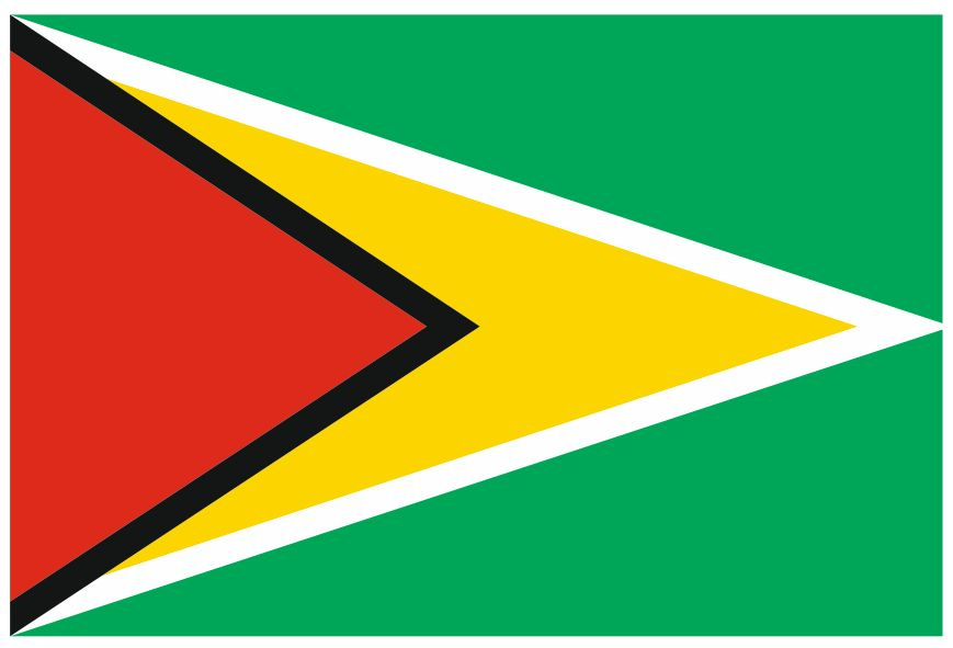 Флаг Гайаны 50х75 см с люверсами #1