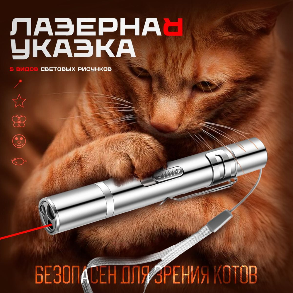 Лазерная указка 5 в 1 для кошек и собак, товары для животных, игрушки, с  USB зарядкой - купить с доставкой по выгодным ценам в интернет-магазине  OZON (1259214693)