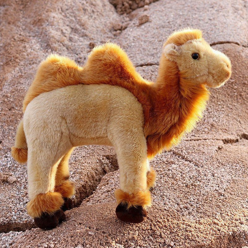 мягкие игрушки, животное, Тихоходка / Camel - купить с доставкой по ...