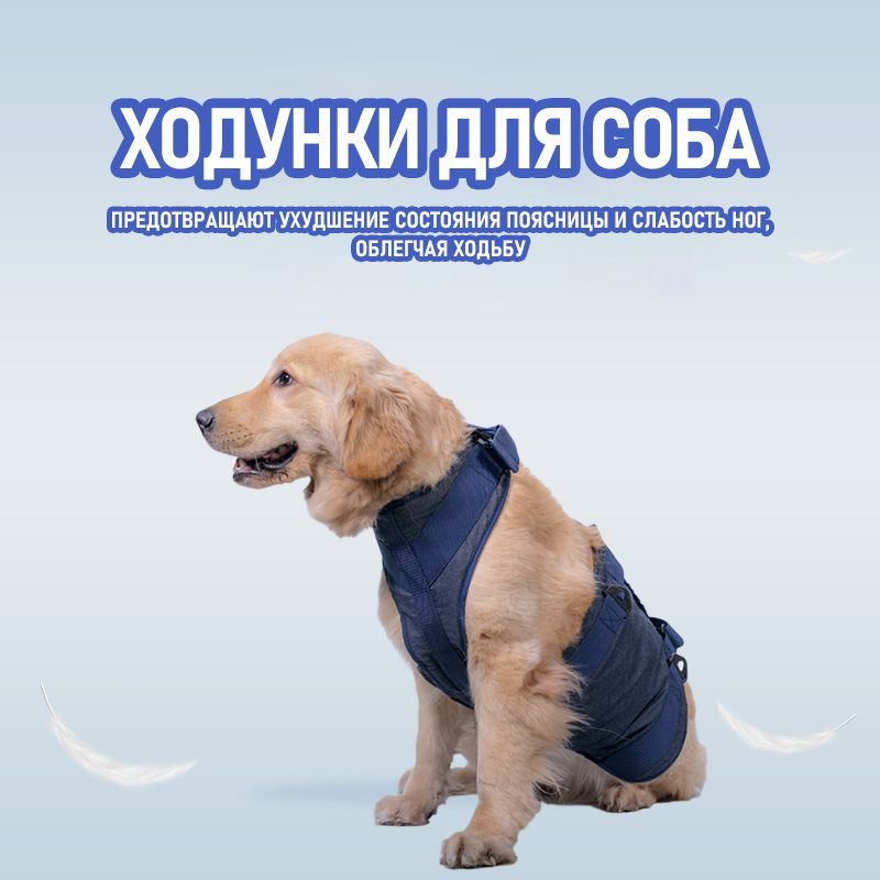 Полная поддержка для собак. Ходунки для пожилых и травмированных собак ...