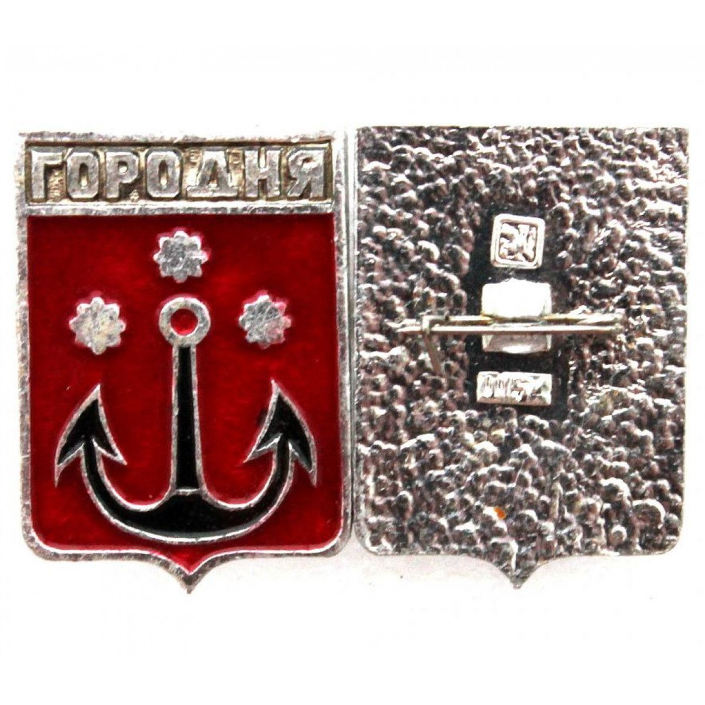 СССР нагрудный знак ГЕРБЫ ГОРОДОВ Городня (Черниговская губерния ...