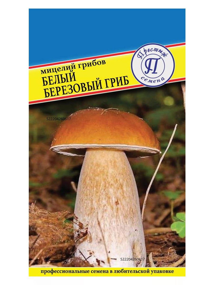 Мицелий грибов "БЕЛЫЙ ГРИБ БЕРЕЗОВЫЙ" семена #1
